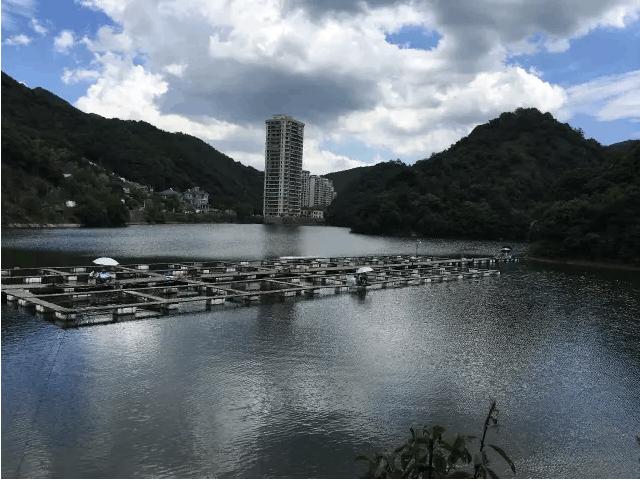 大岭农庄钓场环境缩略图