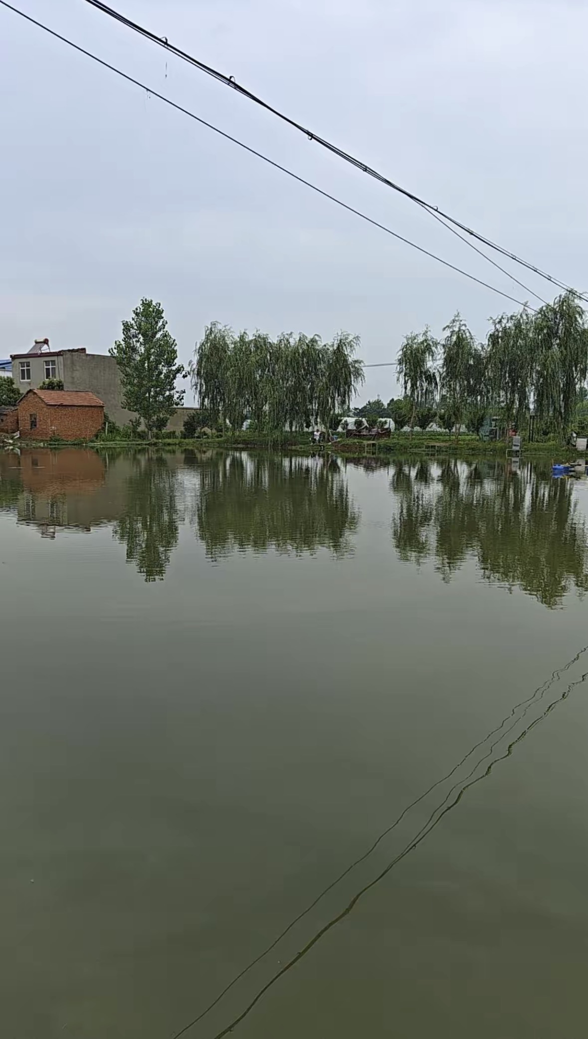 小虎哥休闲垂钓钓点与钓场环境照片