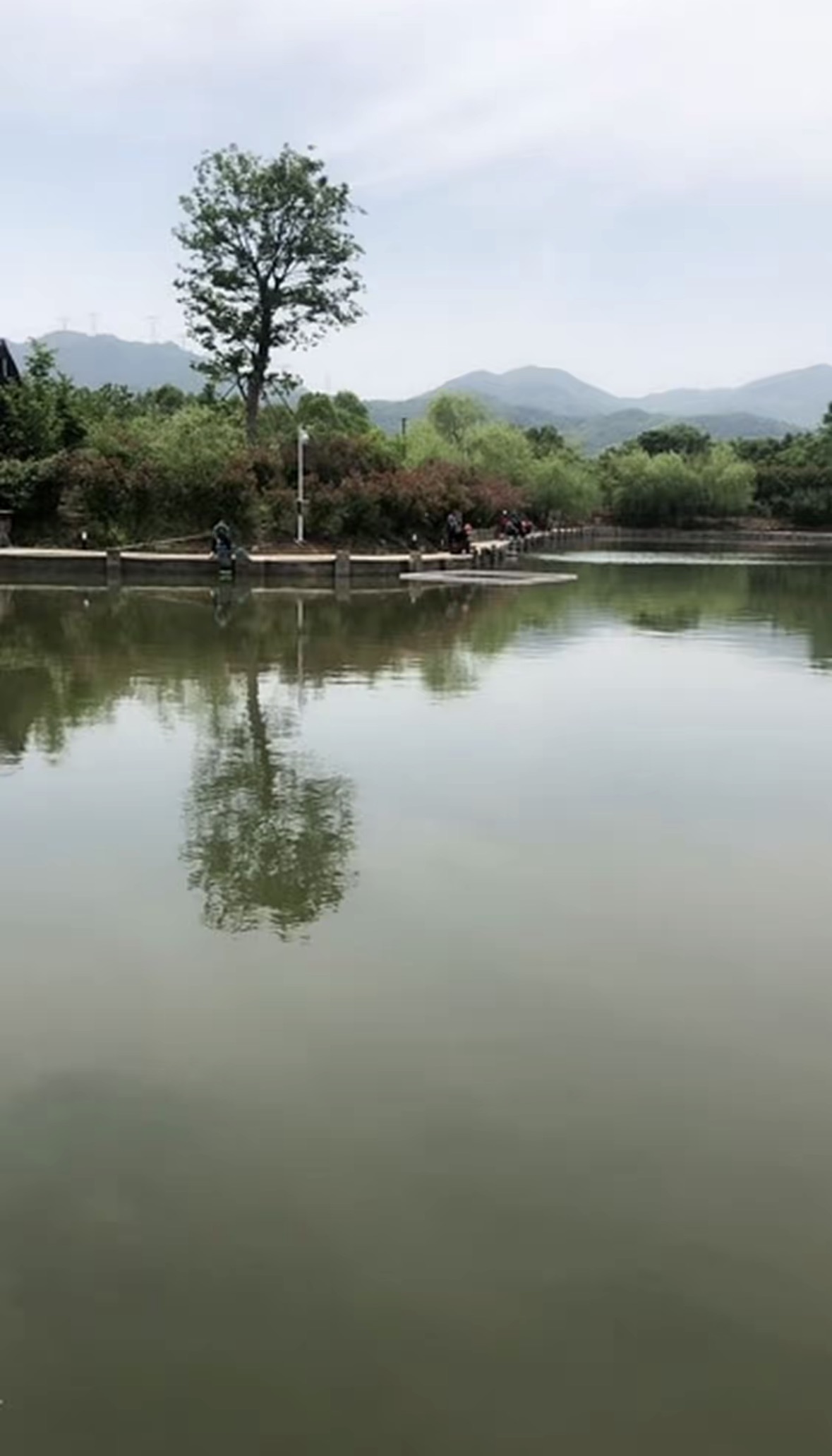 金马庄园(金山庄园)钓场环境缩略图