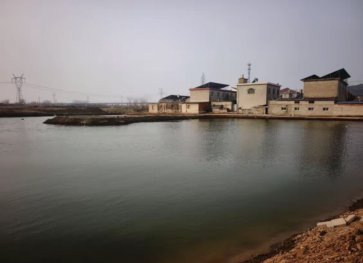 小杰垂钓旅游中心钓点与钓场环境照片