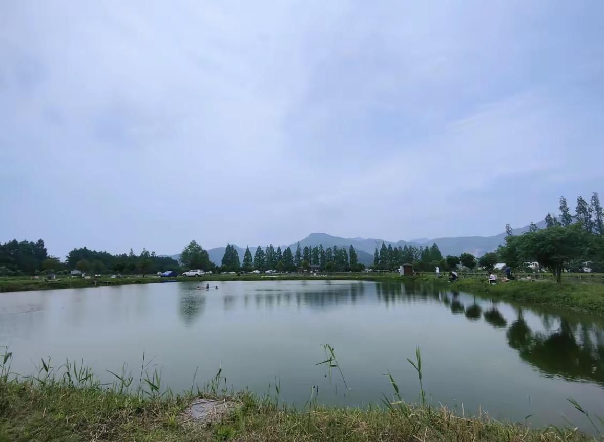 杭州金马鱼庄垂钓基地钓点与钓场环境照片