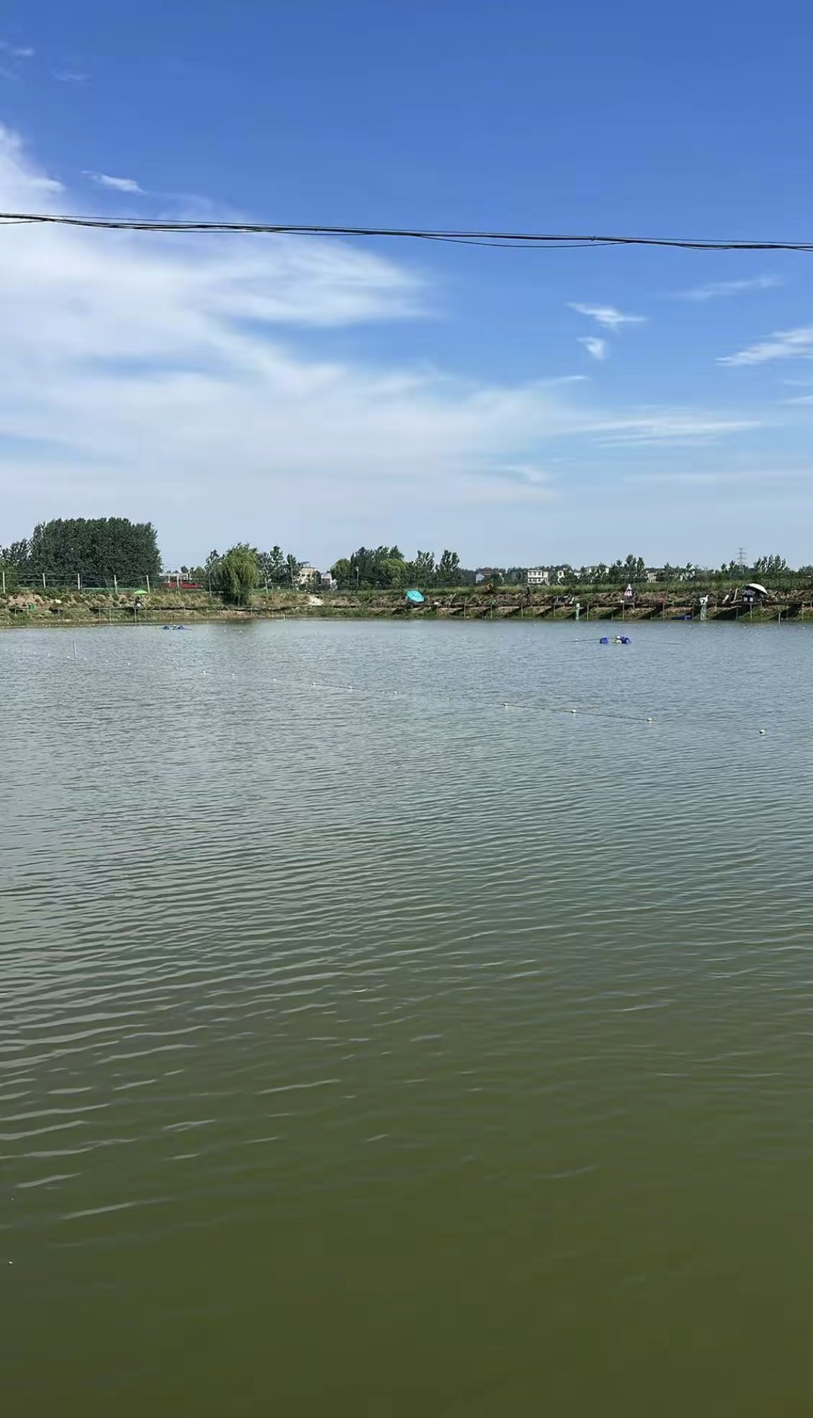 青鲢社休闲垂钓钓场环境缩略图