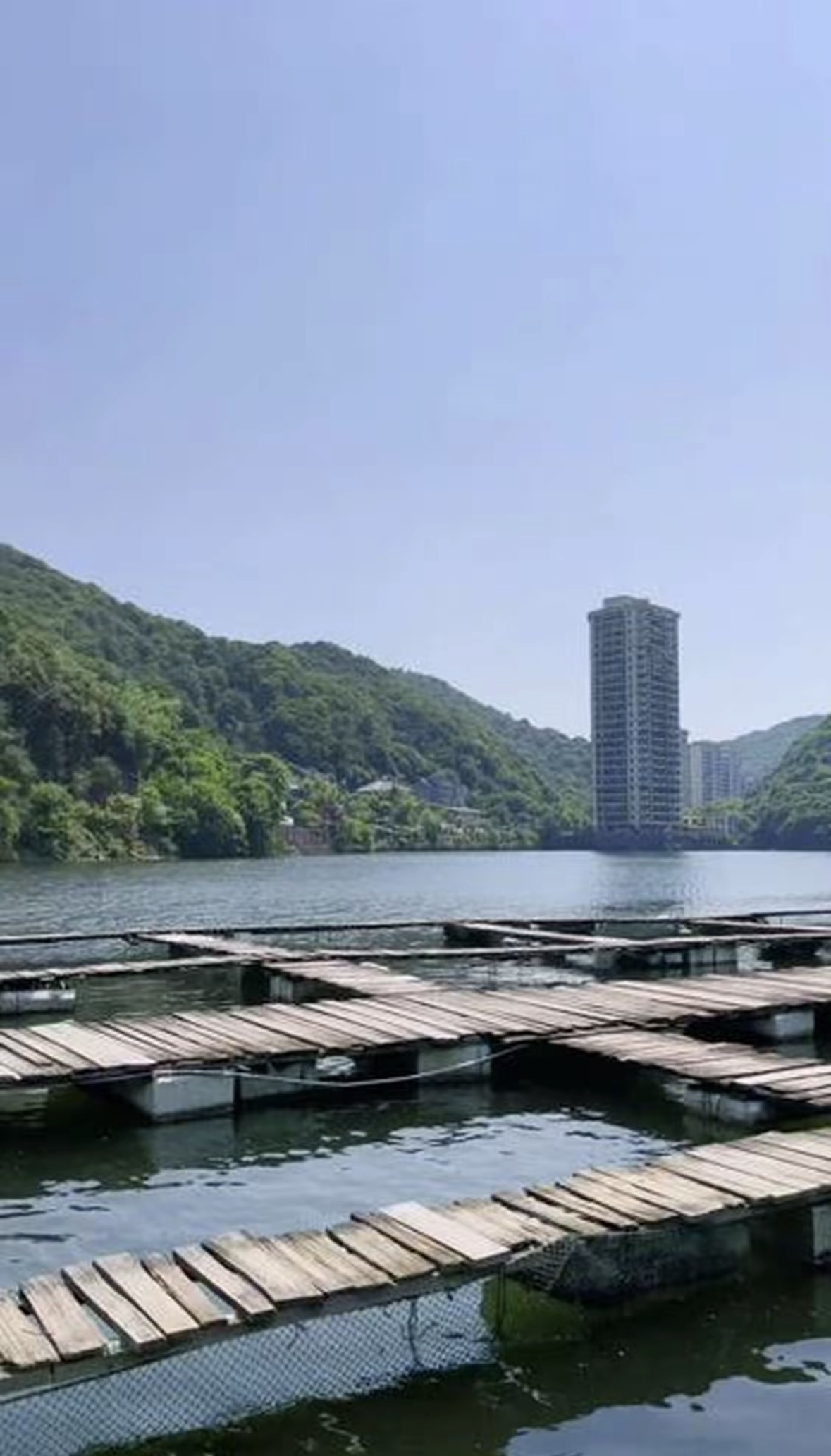 大岭农庄钓场环境缩略图