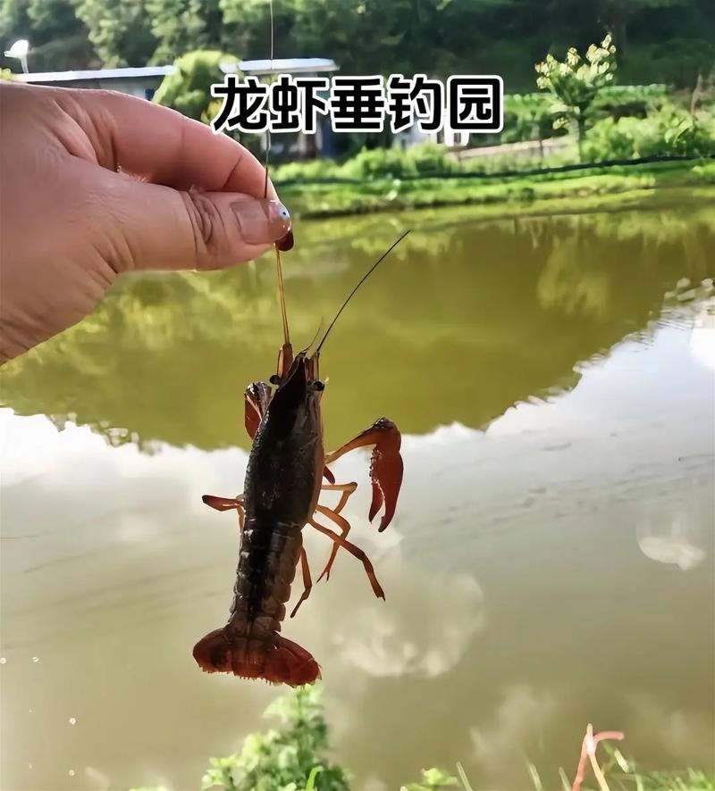 龙虾垂钓园钓场环境缩略图