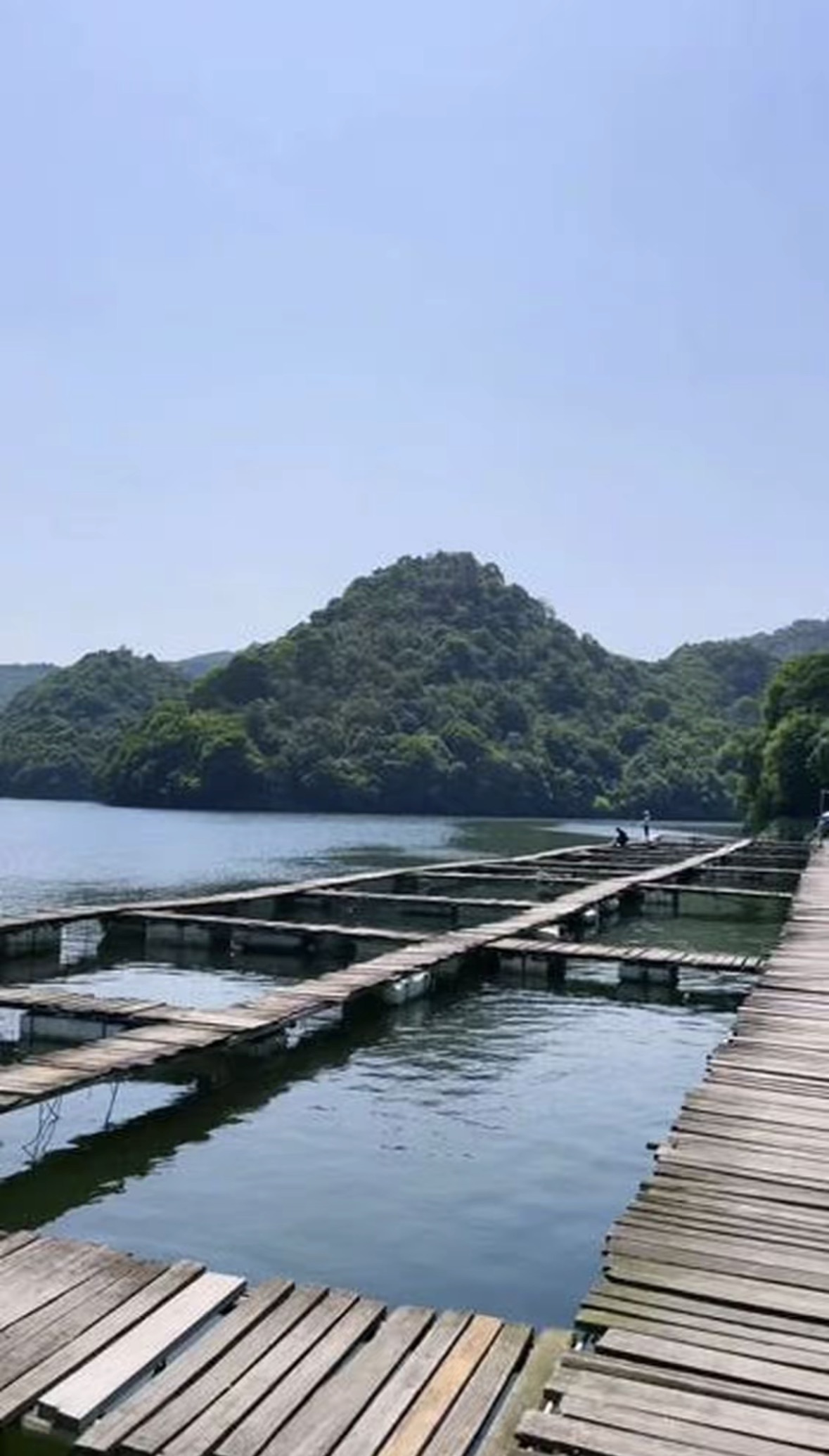 大岭农庄钓场环境缩略图