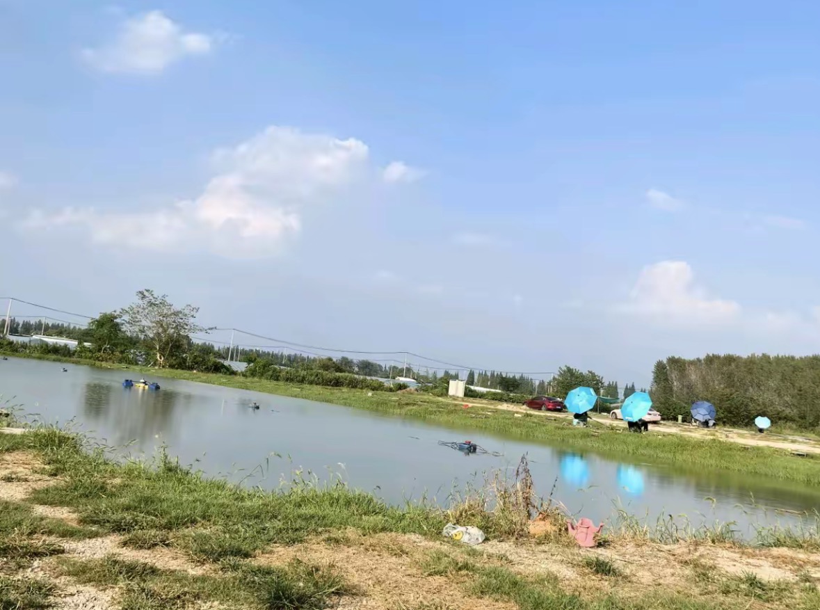 合肥小卫休闲垂钓中心钓点与钓场环境照片