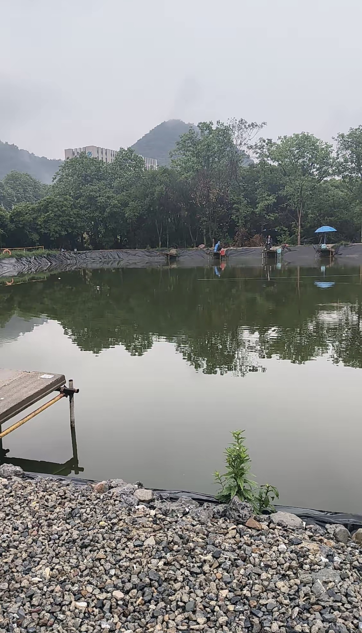 春华垂钓园钓场环境缩略图