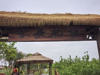 合美钓场钓场环境照片