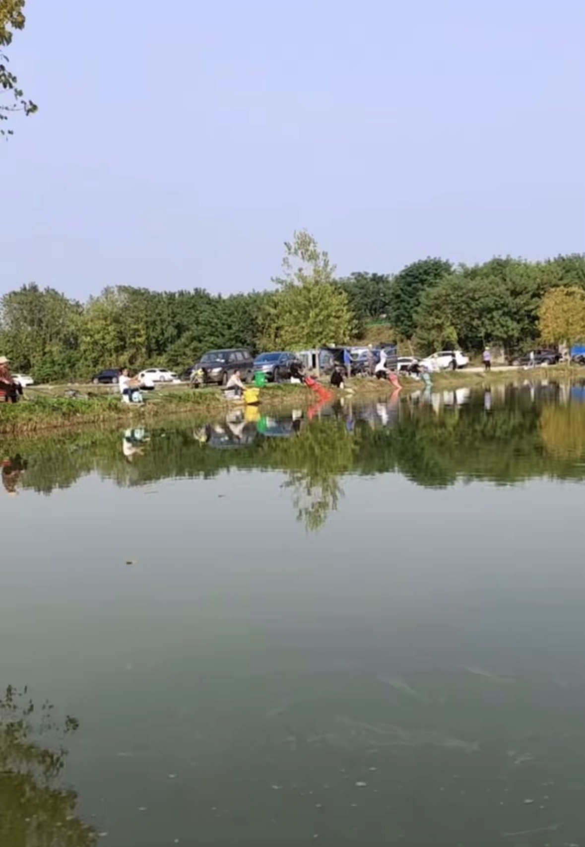 东兴钓场钓场环境缩略图