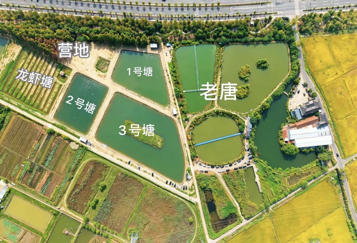 米级野战垂钓俱乐部(双浦馆)钓场环境缩略图