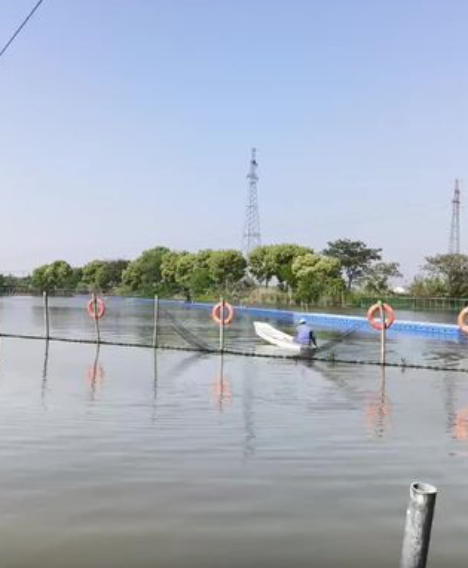 德清罗安桥休闲野钓场钓场环境缩略图