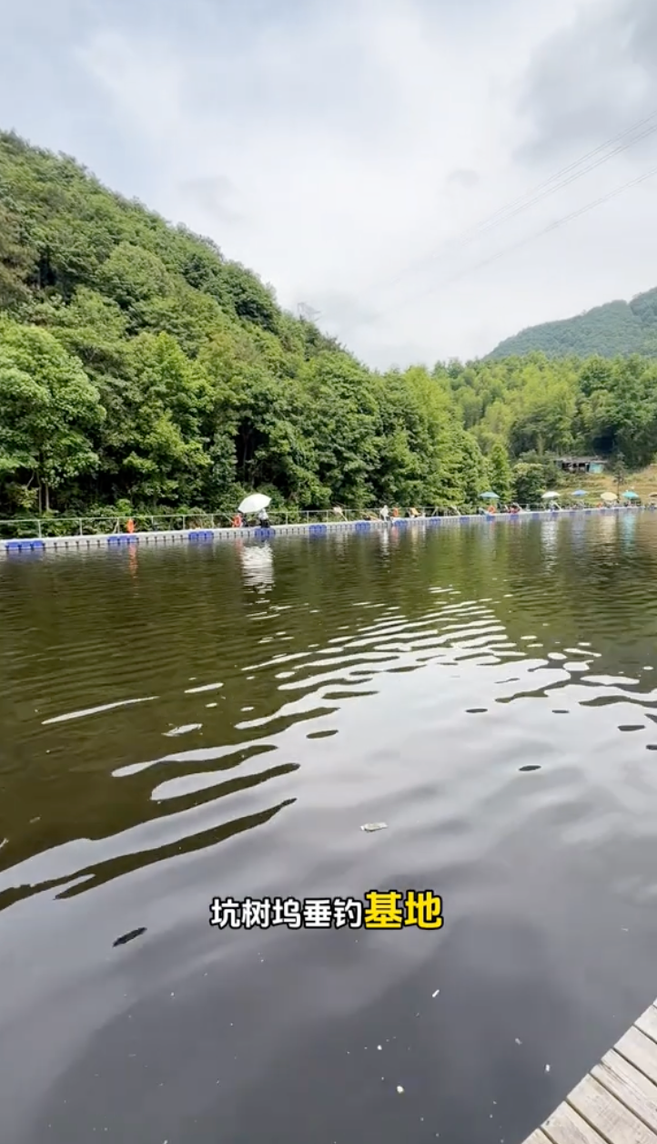 坑树坞垂钓基地钓场环境缩略图