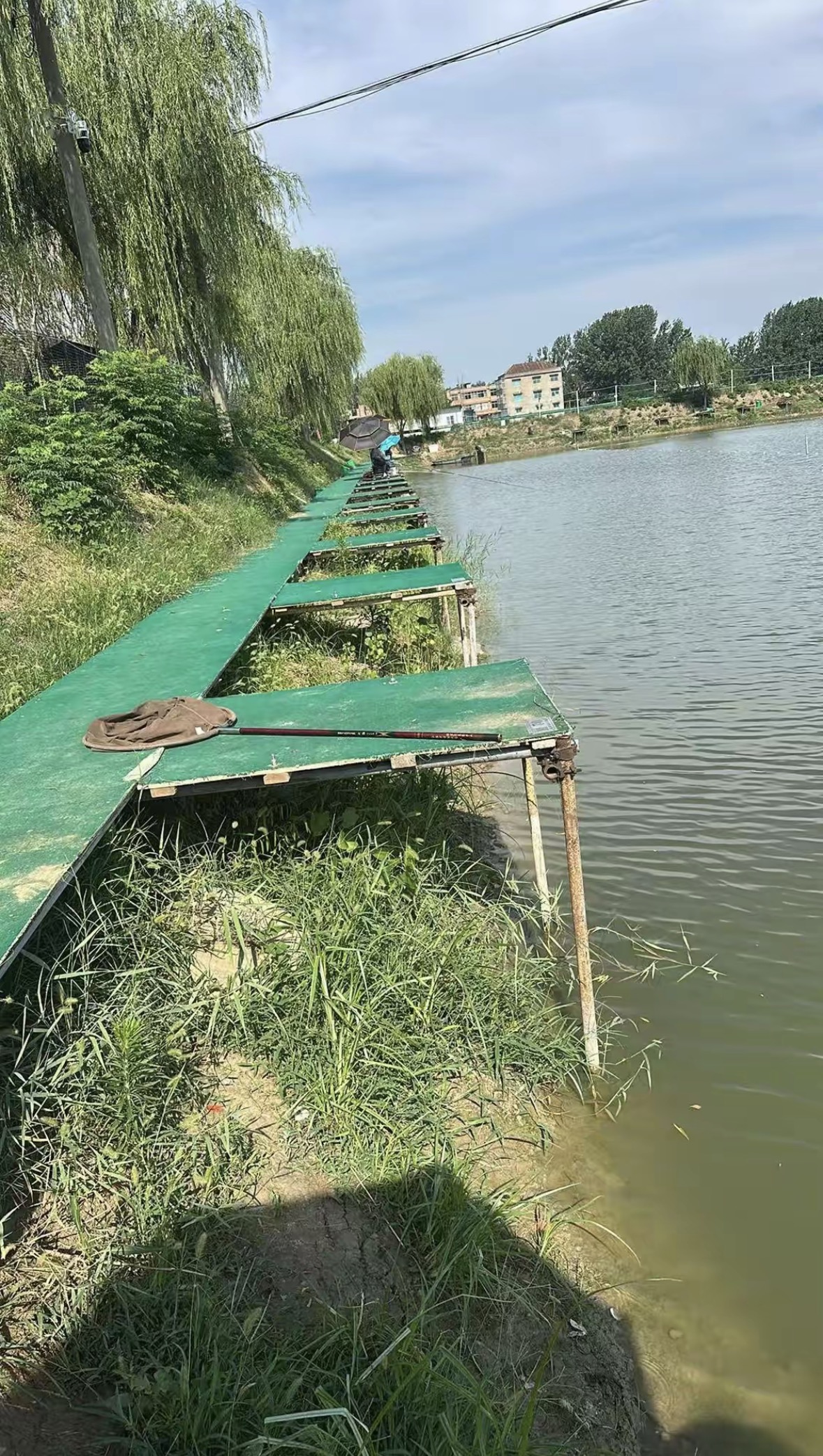 青鲢社休闲垂钓钓场环境缩略图