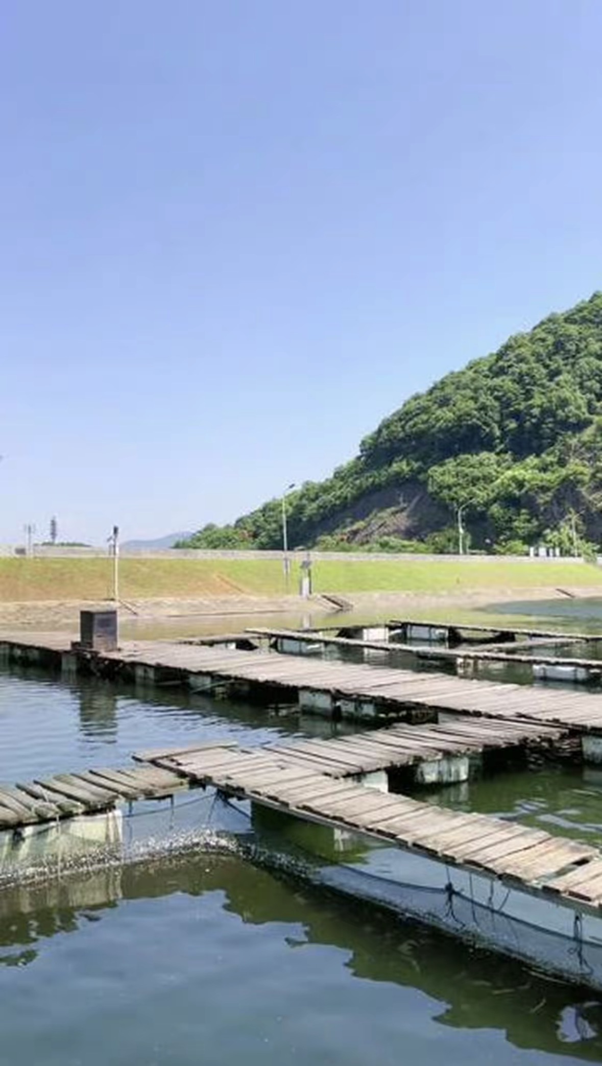 大岭农庄钓场环境缩略图