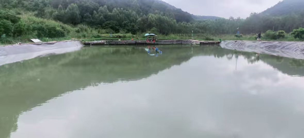 都市垂钓钓场环境缩略图