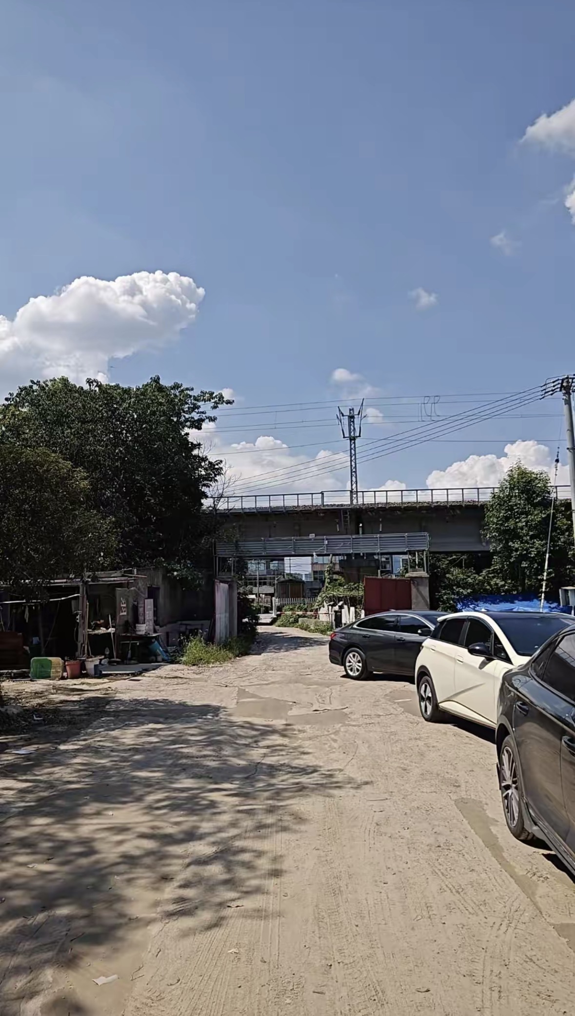 萧山花园钓场钓场环境缩略图