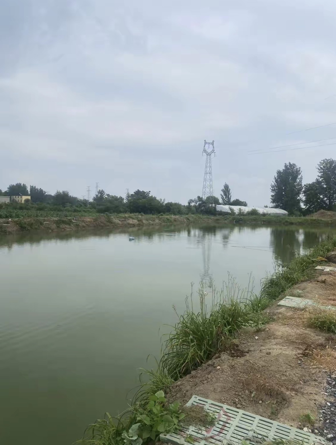 江湖鱼舍凤台快乐e天休闲垂钓园钓点与钓场环境照片