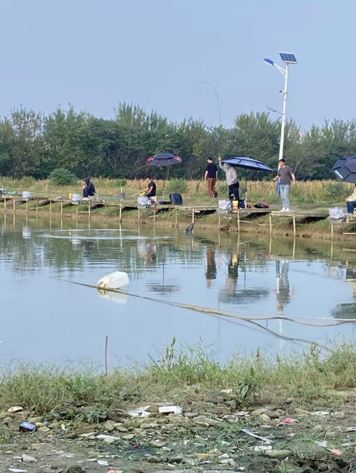 爱福垂钓中心钓场环境缩略图