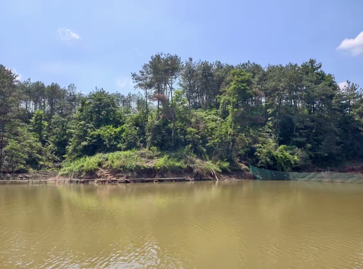 江湖鱼舍开心巨物钓场(绩溪县)钓点与钓场环境照片