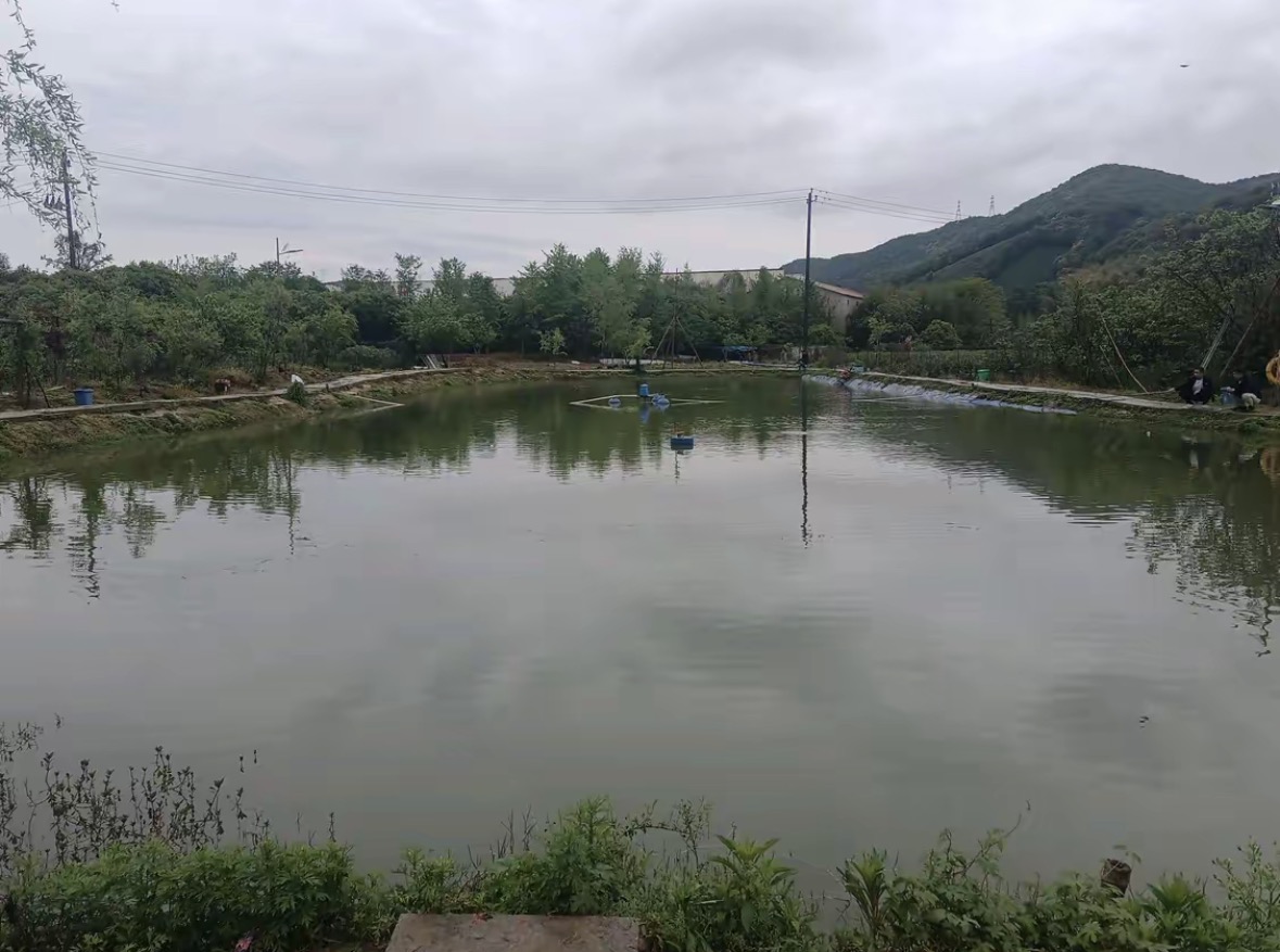 杭富垂钓园钓点与钓场环境照片