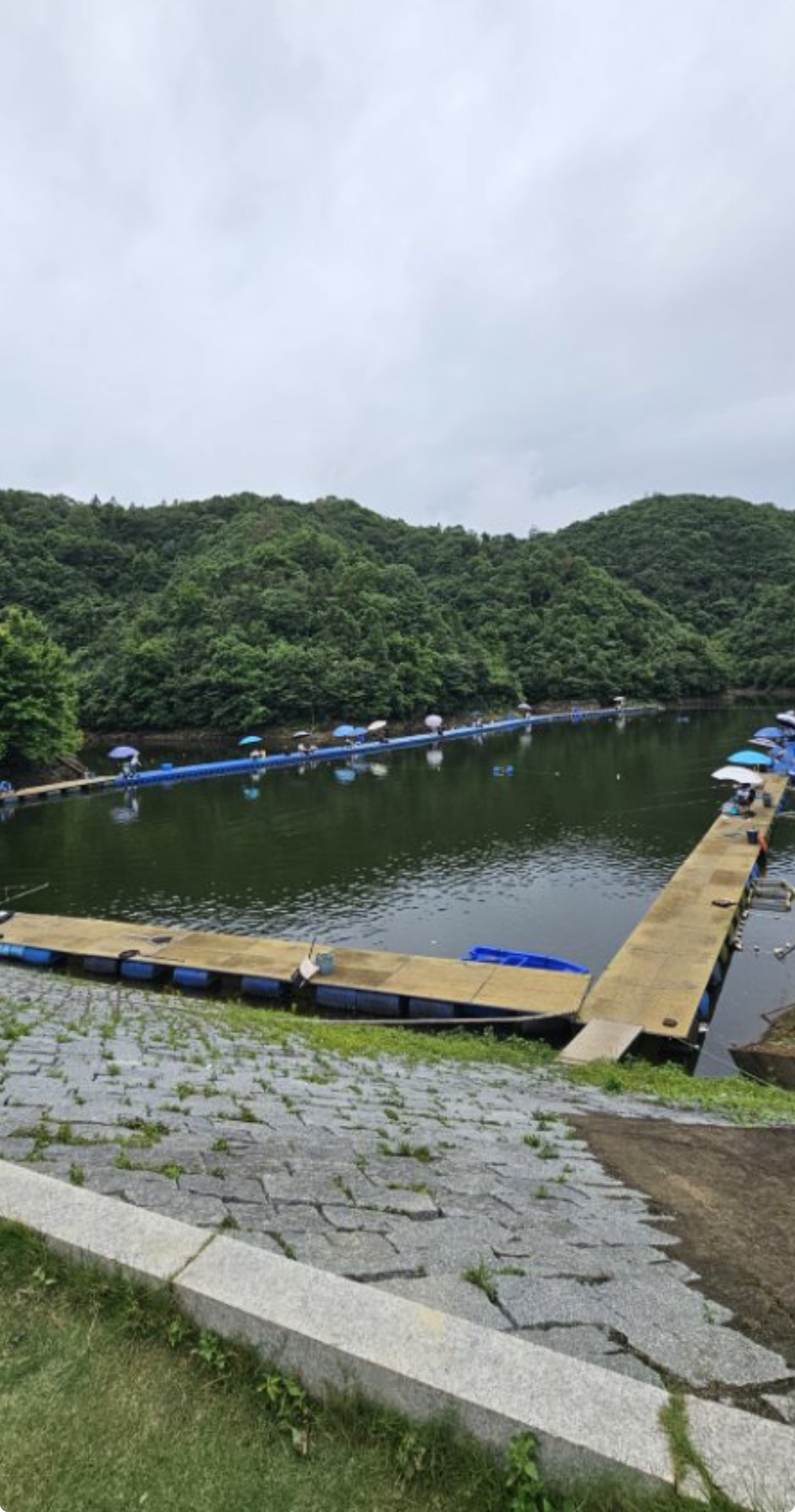 星川户外强子垂钓基地钓场环境照片