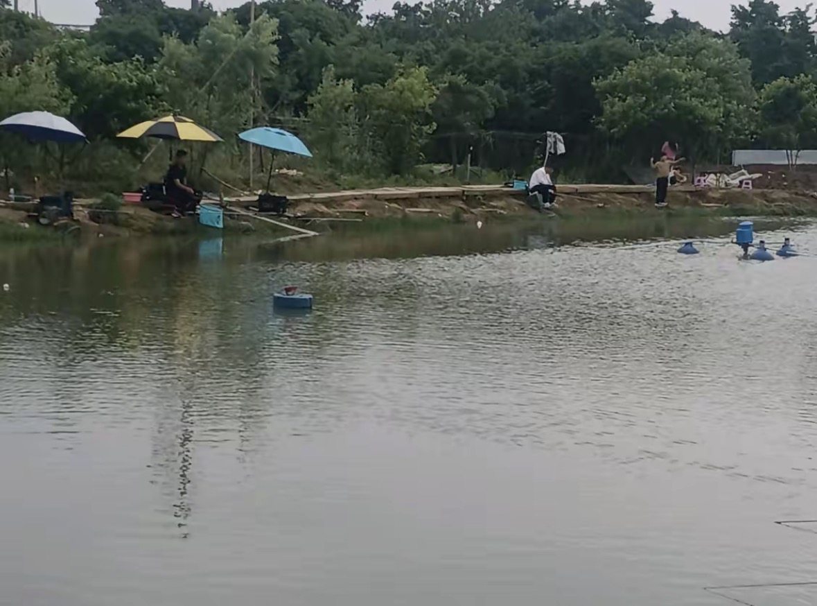杭富垂钓园钓场环境缩略图