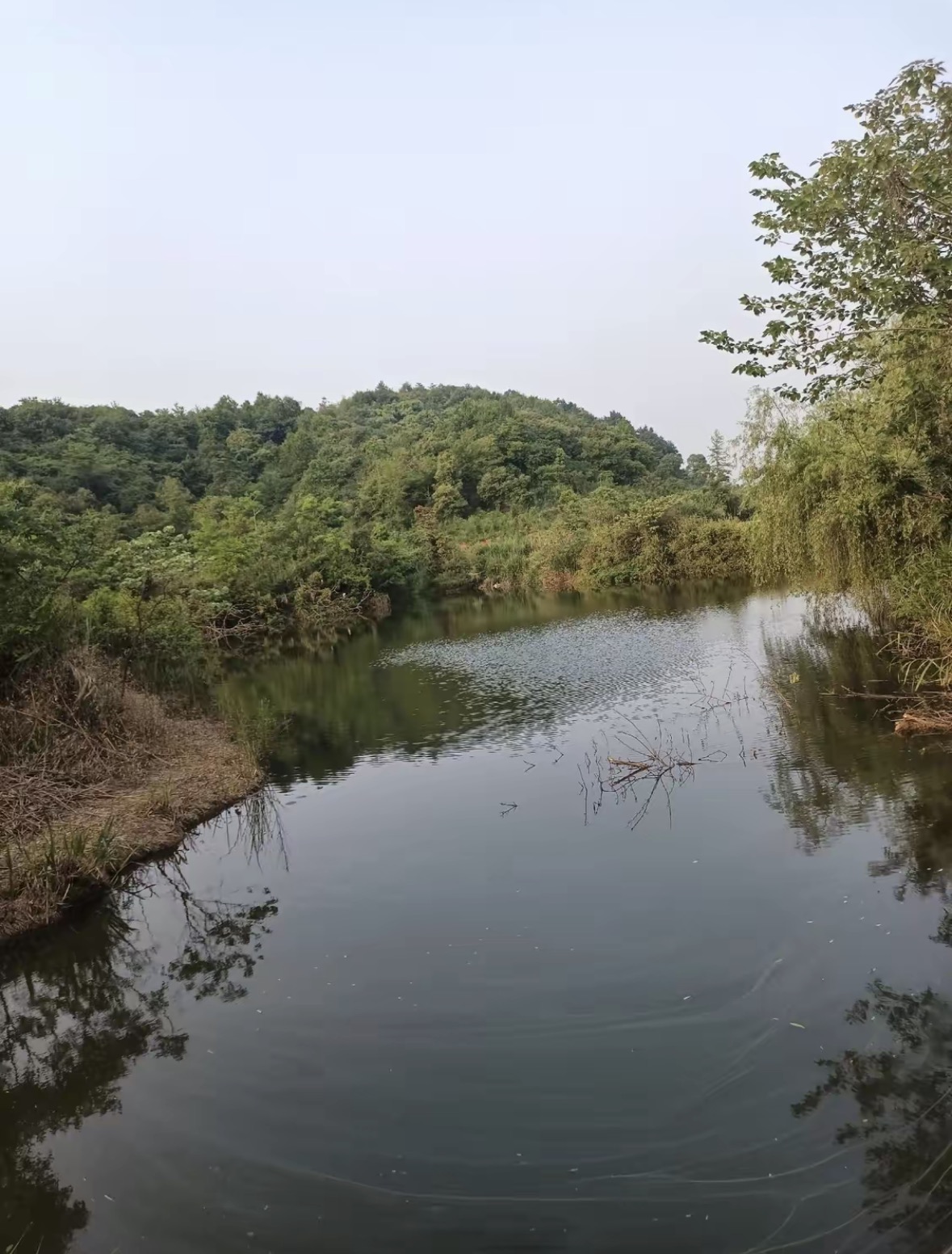 金马庄园(金山庄园)钓点与钓场环境照片