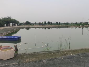 青年钓场钓点与钓场环境照片