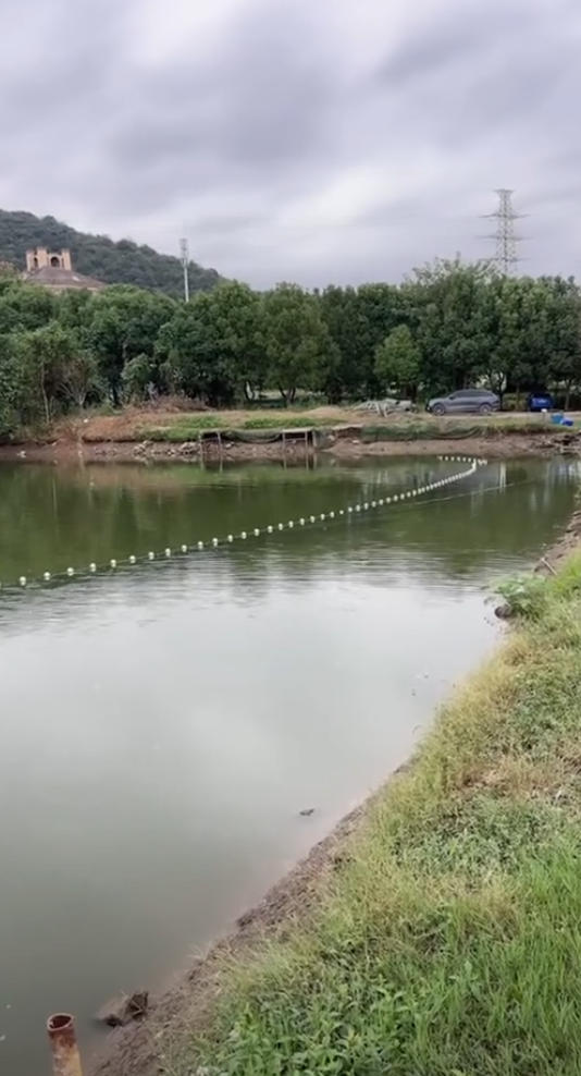 老虎山休闲垂钓园|钓场环境、鱼情与钓鱼体验 老虎山休闲垂钓园钓场环境照片
