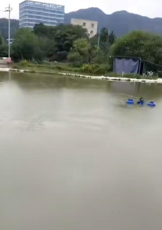 小纪钓场钓场环境照片