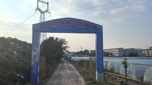 窑北大物休闲垂钓中心钓场环境照片