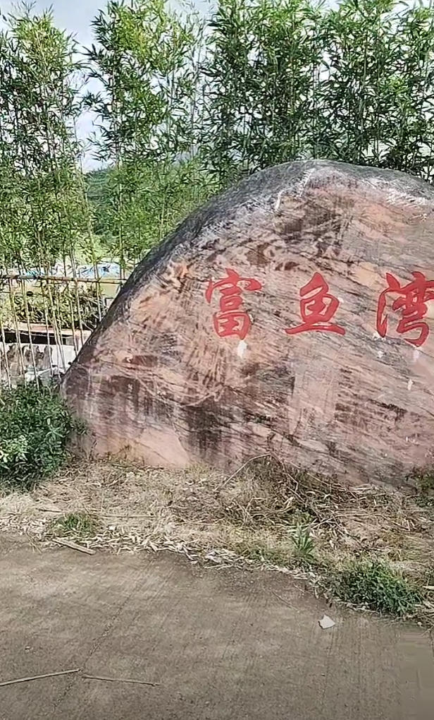 富鱼湾钓场钓场环境