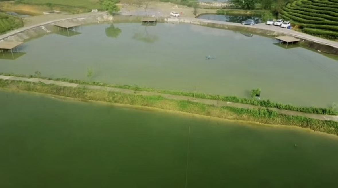 桐庐小牛垂钓园钓场环境照片