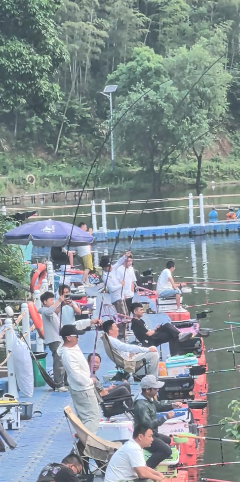 杭州东明水库巨物钓场|钓场环境、鱼情与钓鱼体验 杭州东明水库巨物钓场钓场环境照片