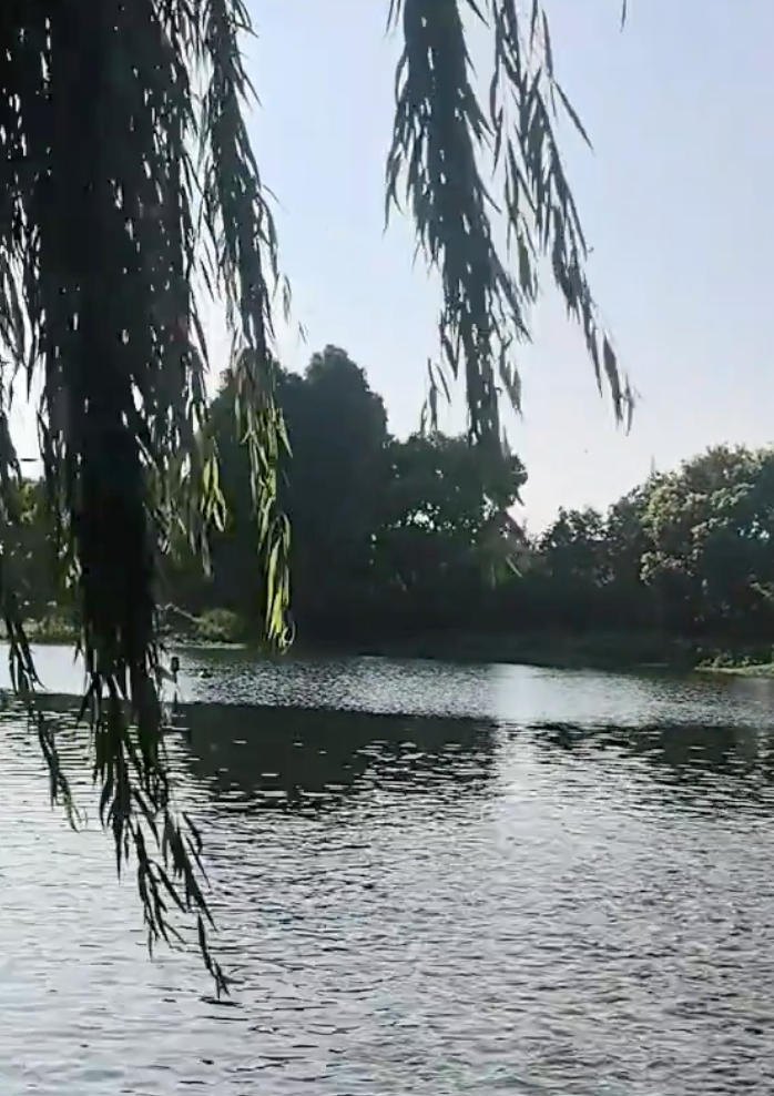 高老庄垂钓中心钓点与钓场环境照片