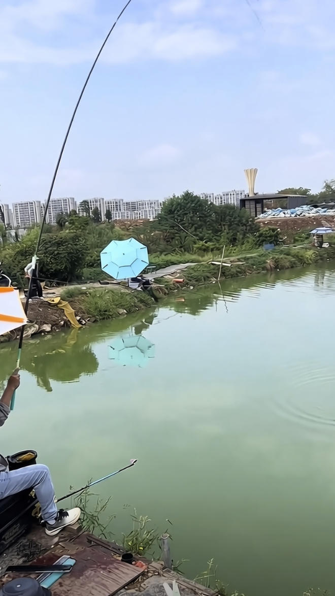 大力钓场钓场环境照片