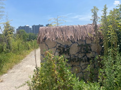 桃花岛钓鱼场钓场环境照片