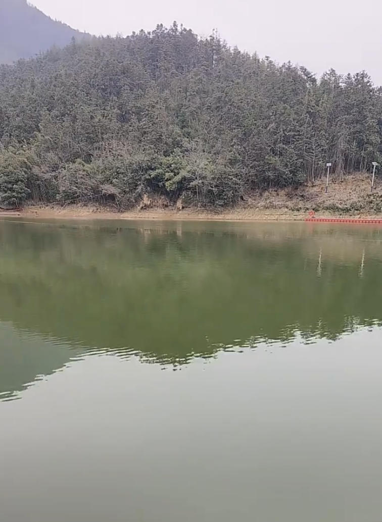 小支里垂钓基地钓场环境缩略图