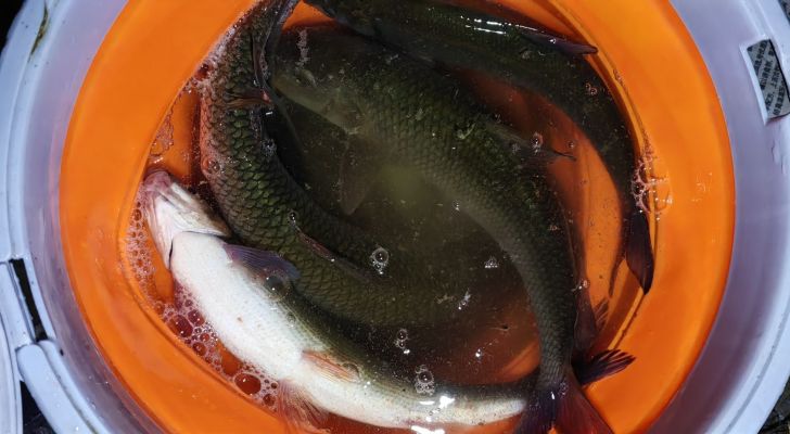 玉屏三友钓场钓场环境照片
