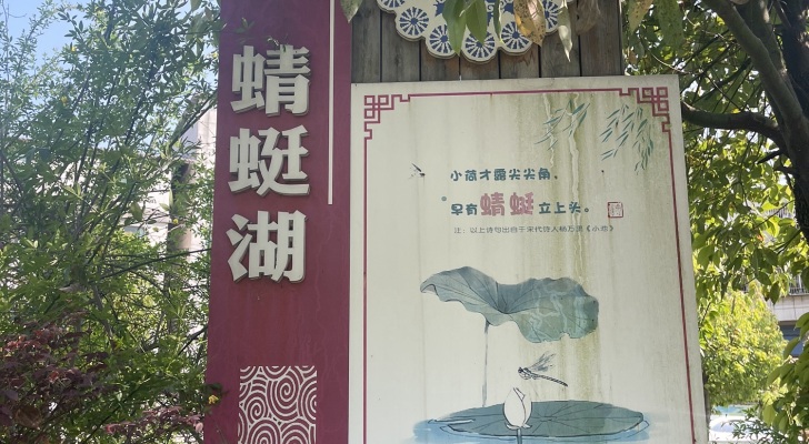 蜻蜓湖垂钓园钓场环境照片