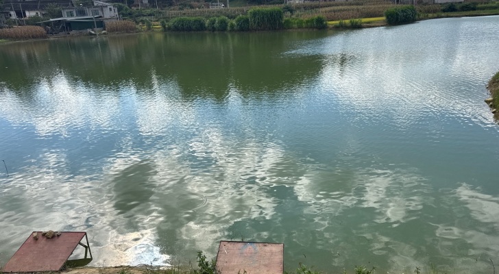 红湾湾休闲钓场钓场环境照片