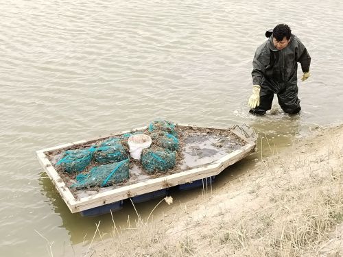 镇北堡观光垂钓中心钓场环境照片