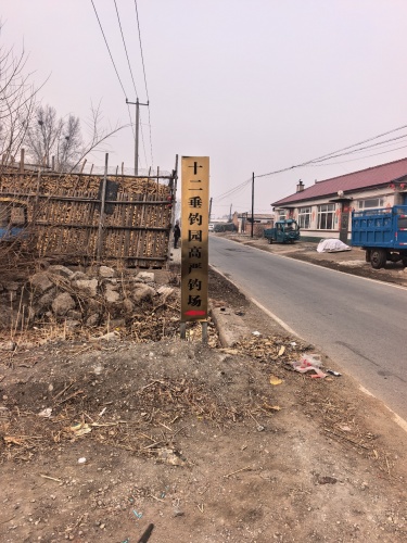 十二垂钓园钓场环境照片
