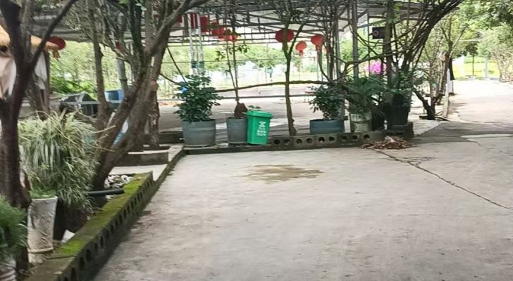 农家垂钓山庄钓场环境缩略图