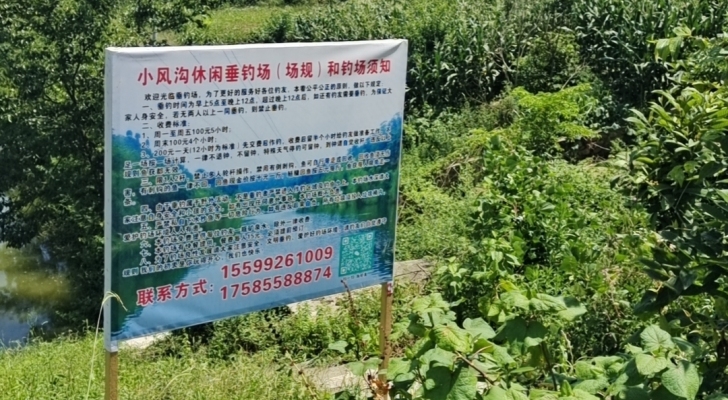 小风沟休闲钓场钓场环境照片