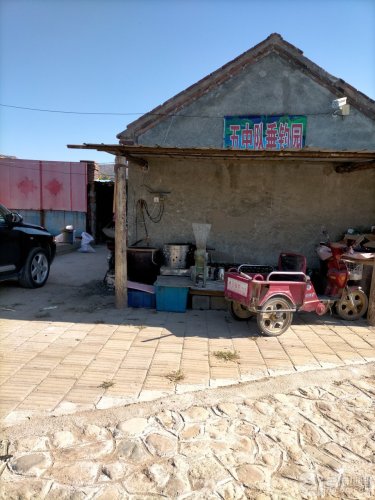 五中队垂钓园钓场环境照片