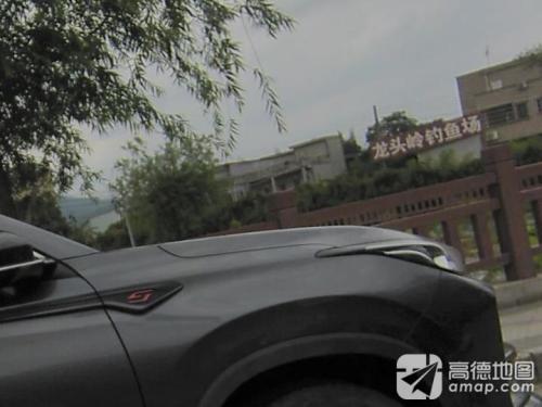 龙头岭钓鱼场钓场环境照片