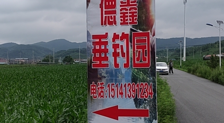 德鑫垂钓园钓场环境照片