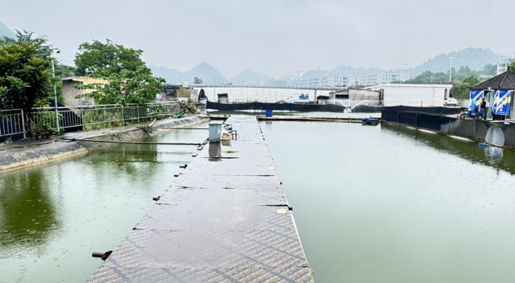 白云区渔旺垂钓基地钓场环境照片