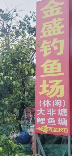 横栏金盛钓鱼场钓场环境照片